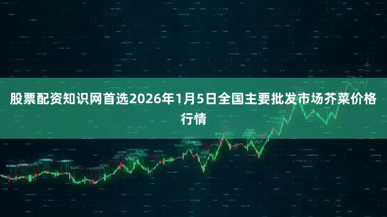 股票配资知识网首选2026年1月5日全国主要批发市场芥菜价格行情