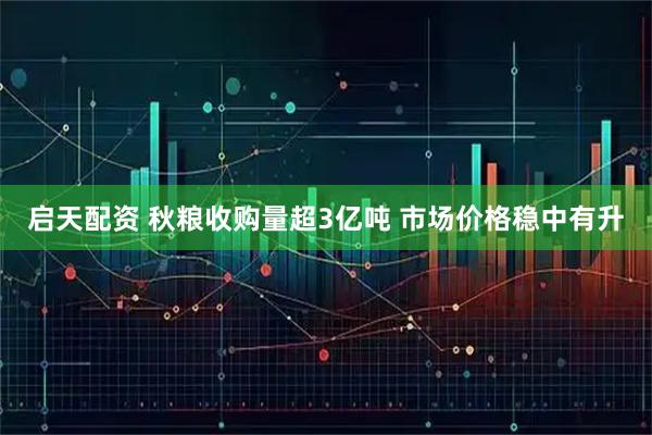 启天配资 秋粮收购量超3亿吨 市场价格稳中有升